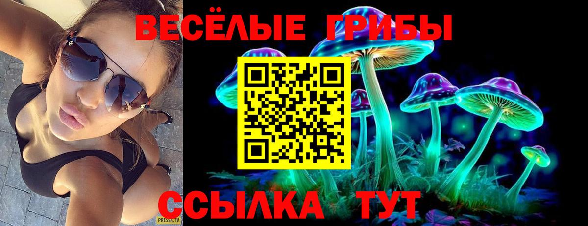 Избербаш  Псилоцибиновые грибы MAGIC MUSHROOMS  Вход с VPN 